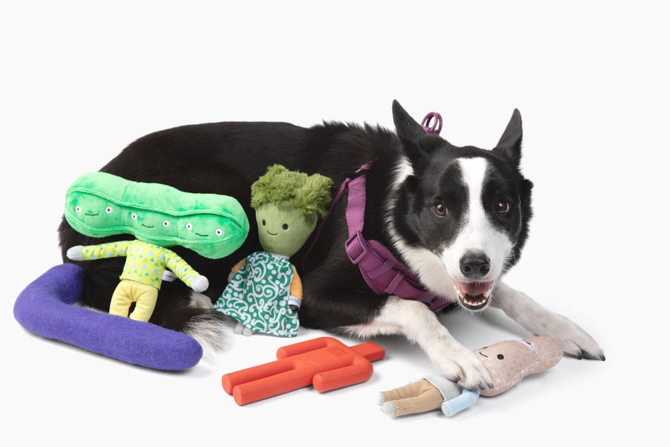 ARTICHOKE - Enrichment and Interactive Dog Toy