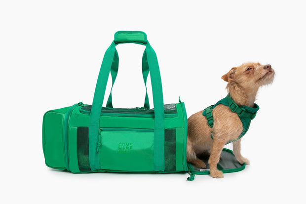 SAMPLE SALE - Green Travel Buddy Carrier
