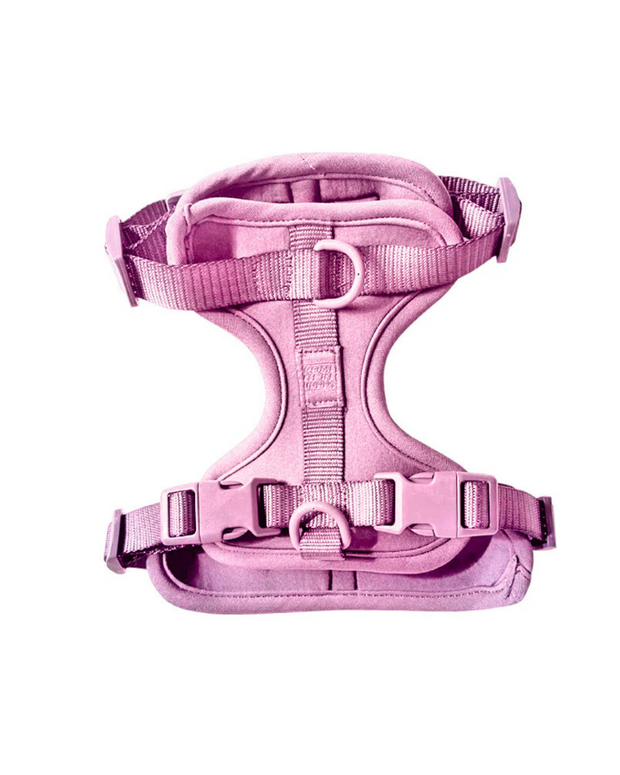 Harness
