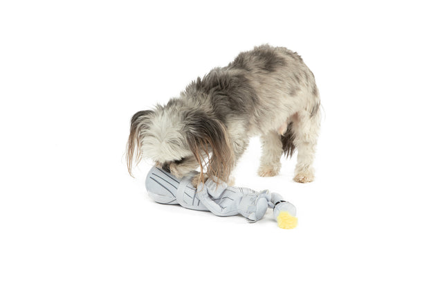 Liberty Nose Work Dog Toy