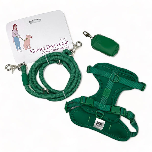 Kismet Hands-Freee Dog Leash and Harness Walk Set