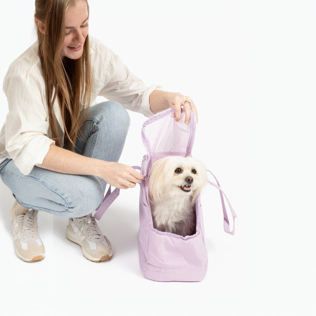 Come Here Buddy Pet Tote Bag