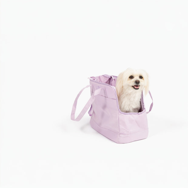 Come Here Buddy Pet Tote Bag