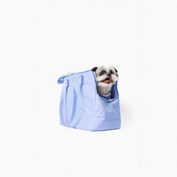 Come Here Buddy Pet Tote Bag