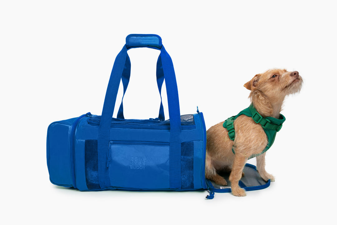 Buddy carrier dog sale