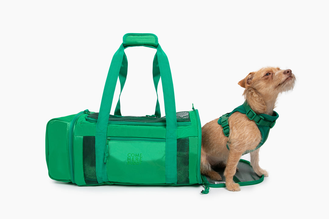 Travel Buddy Pet Carrier Come Here Buddy
