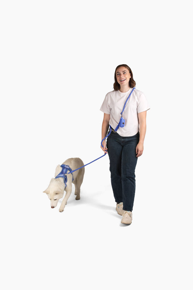 Kismet Hands-Freee Dog Leash and Harness Walk Set