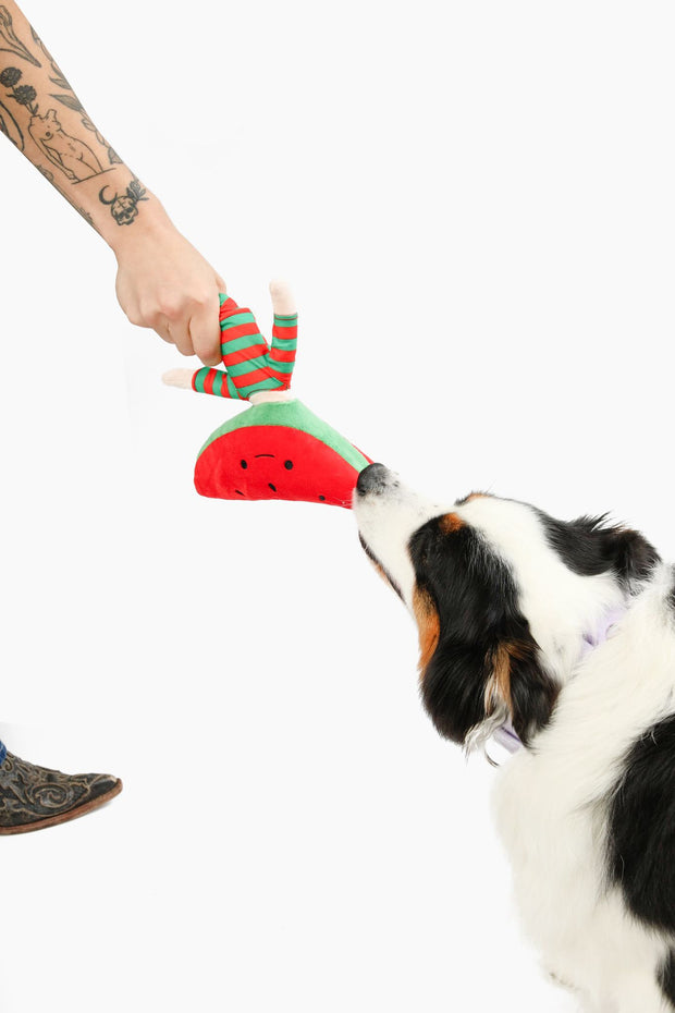 Watermelon Nose Work Dog Toy