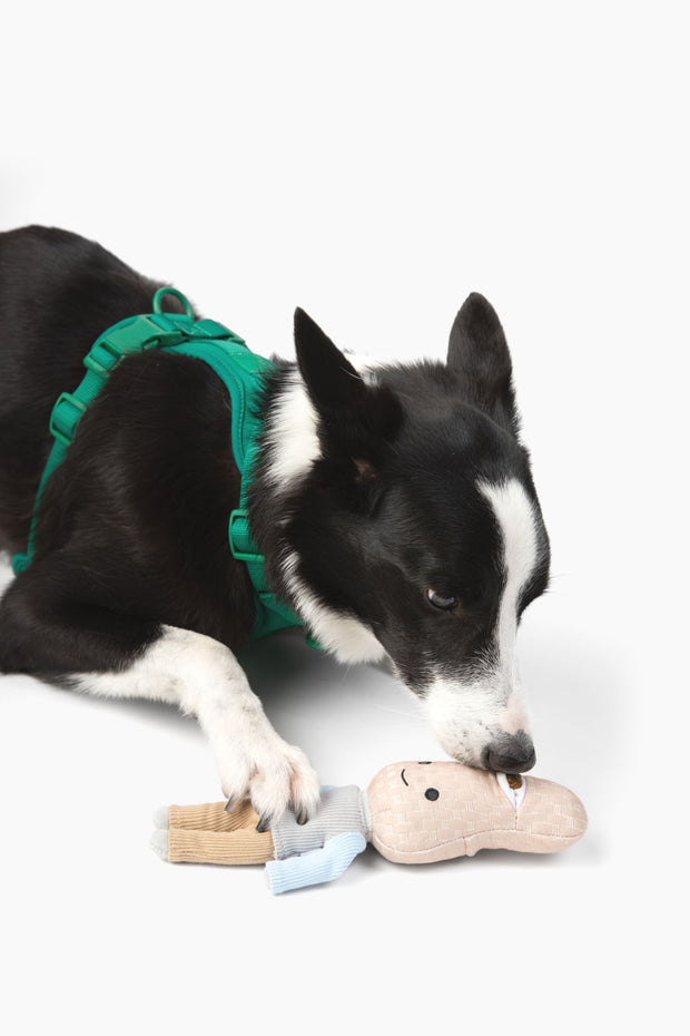 Pea Pod Snuffle Treat Dog Puzzle Toy