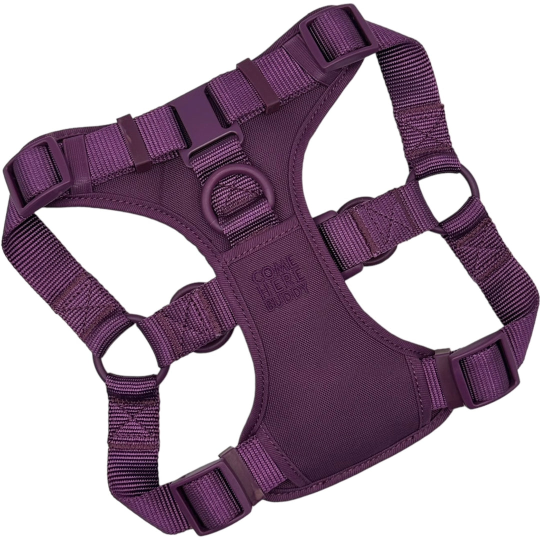 Step In Dog Harness – Come Here Buddy