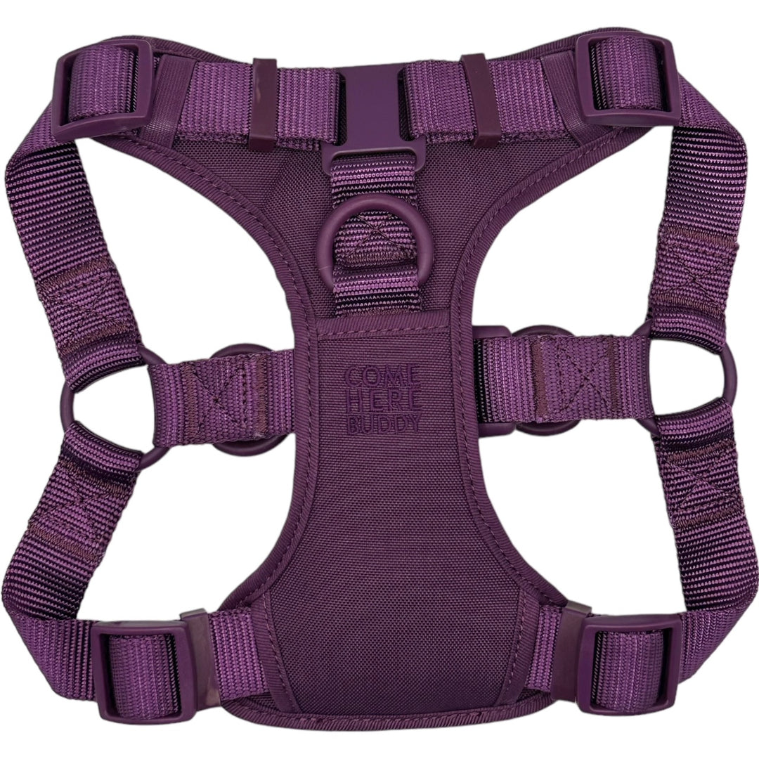 Step In Dog Harness – Come Here Buddy
